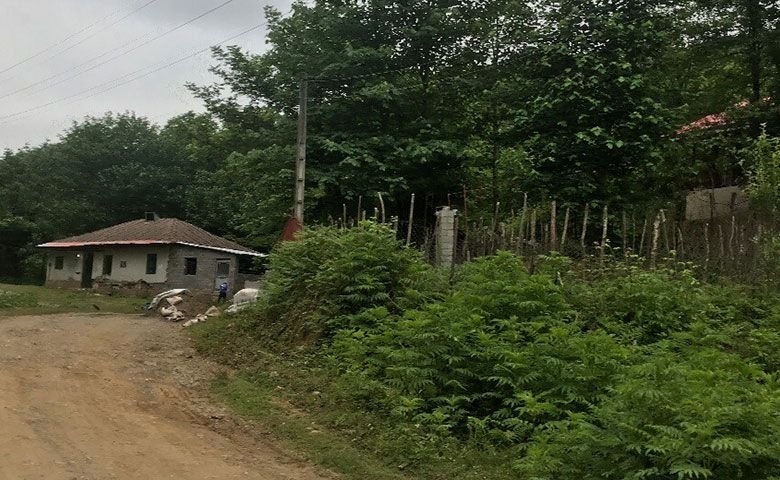 روستای-چنار-رودخان.jpg