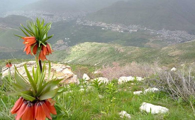 روستای خانقاه