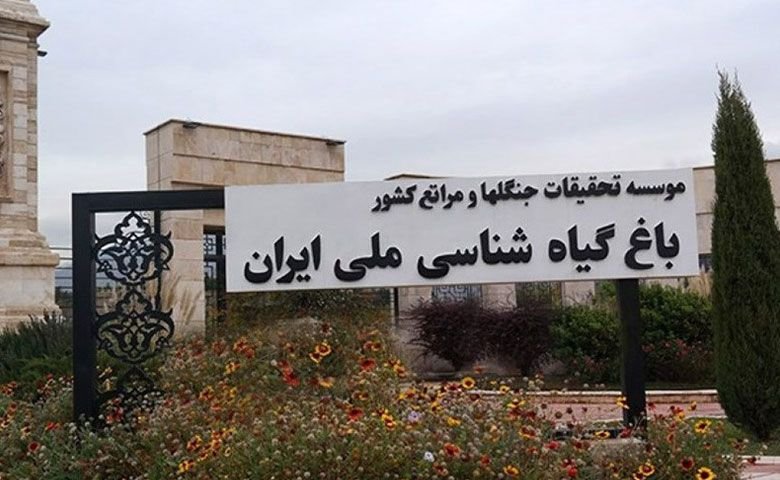 رویشگاه هیمالیا