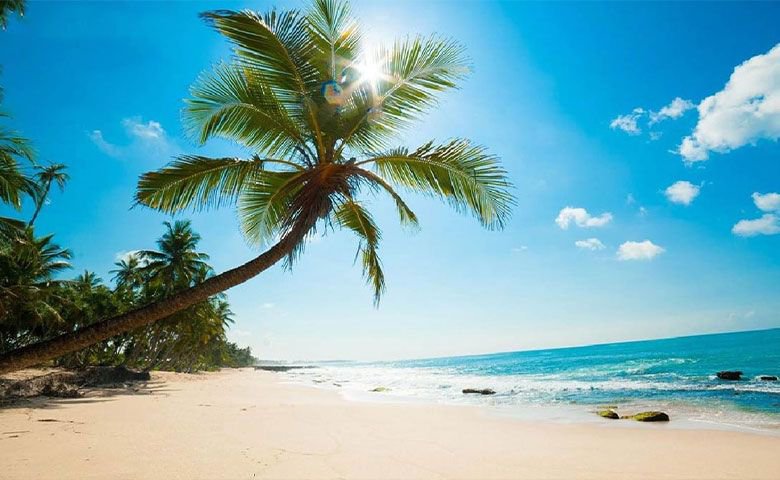 ساحل درختان نارگیل کیش؛ ساحلی نقره رنگ با زیبایی خیره‌کننده