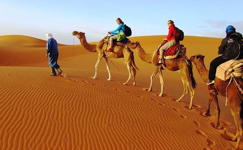 شترسواری در کویر مصر