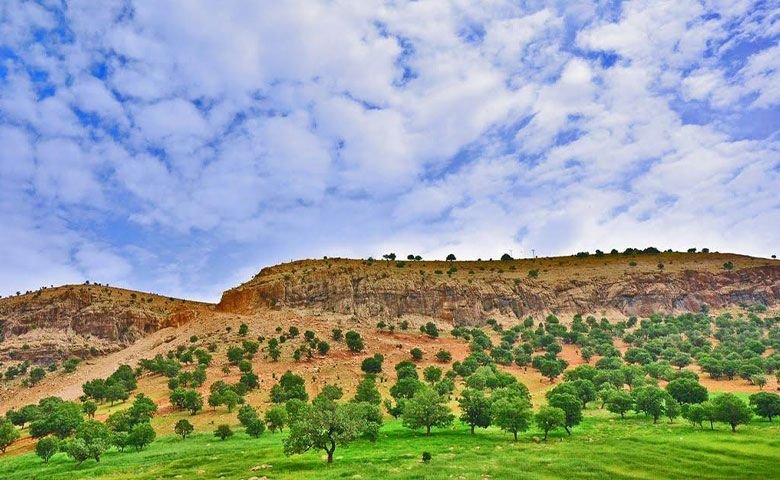 سوارکاری.jpg