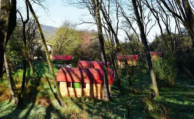 طبیعت‌گردی.jpg