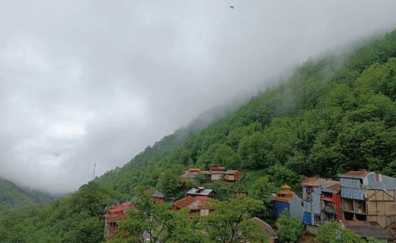 طبیعت‌گردی-در-جنگل.jpg