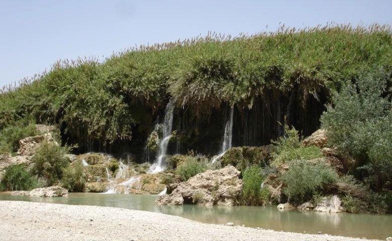 طبیعت-گردی.jpg