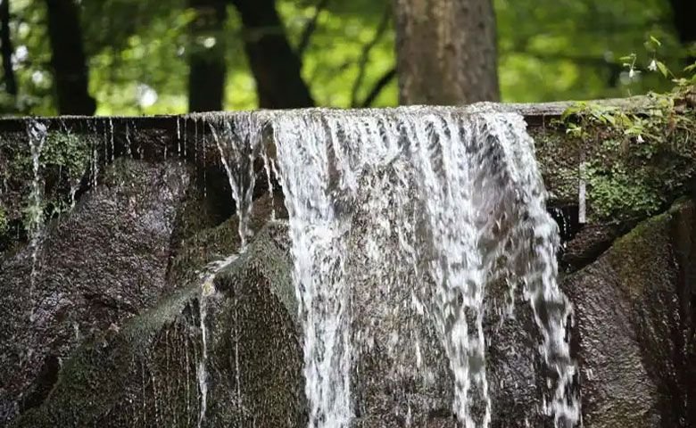 یوگا-و-مدیتیشن.jpg