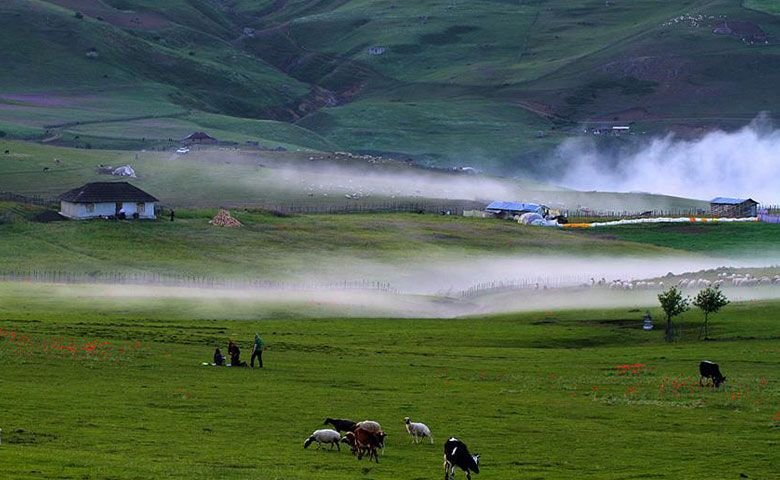 ییلاق-شکر-دشت.jpg